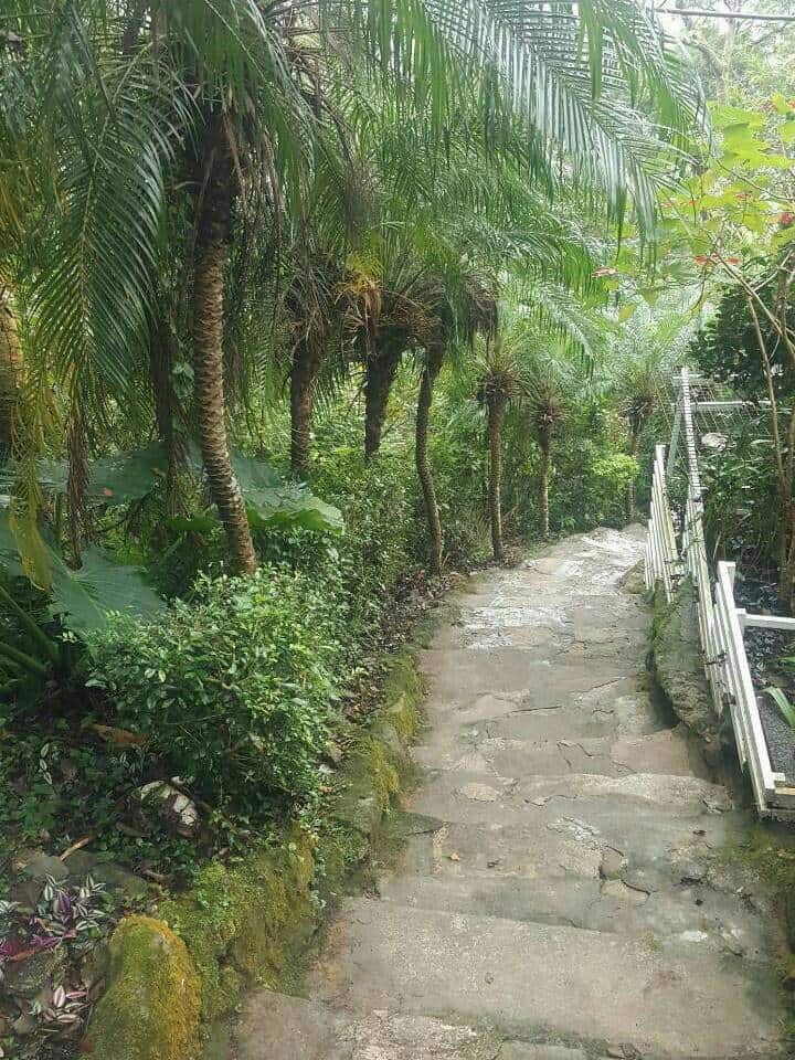 特惠包山包莊的圖片
