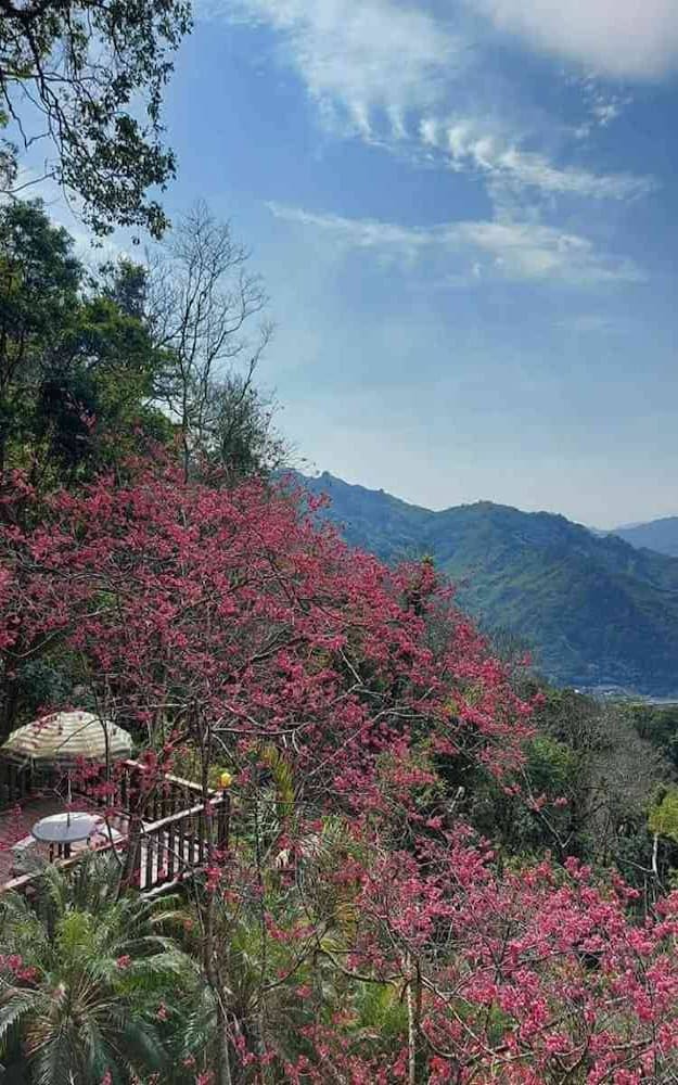 一般包山包莊的圖片