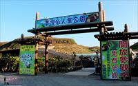青灣仙人掌公園