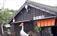 湯城鵝行