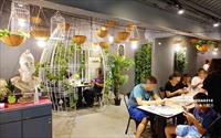 J.C.co Art Kitchen 藝術餐廚