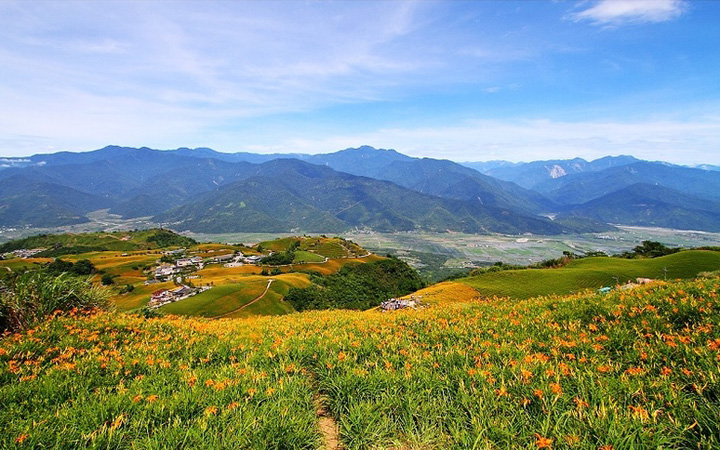 六十石山。漫舞山谷間的金黃花海