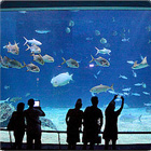 國立海洋生物博物館