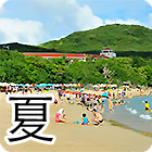 夏