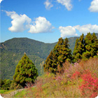 清境農場(壽山園)