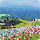 清境農場(觀山牧區)