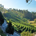 貓囒山步道