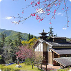 鹿谷內湖國小