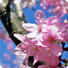 陽明山國家公園